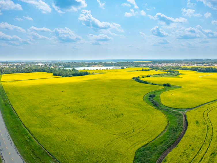 50 Avenue, Innisfail, AB, T4G 1R7 - 3
