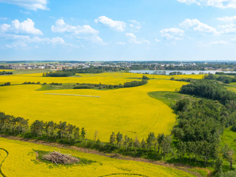 50 Avenue, Innisfail, AB, T4G 1R7 - 17