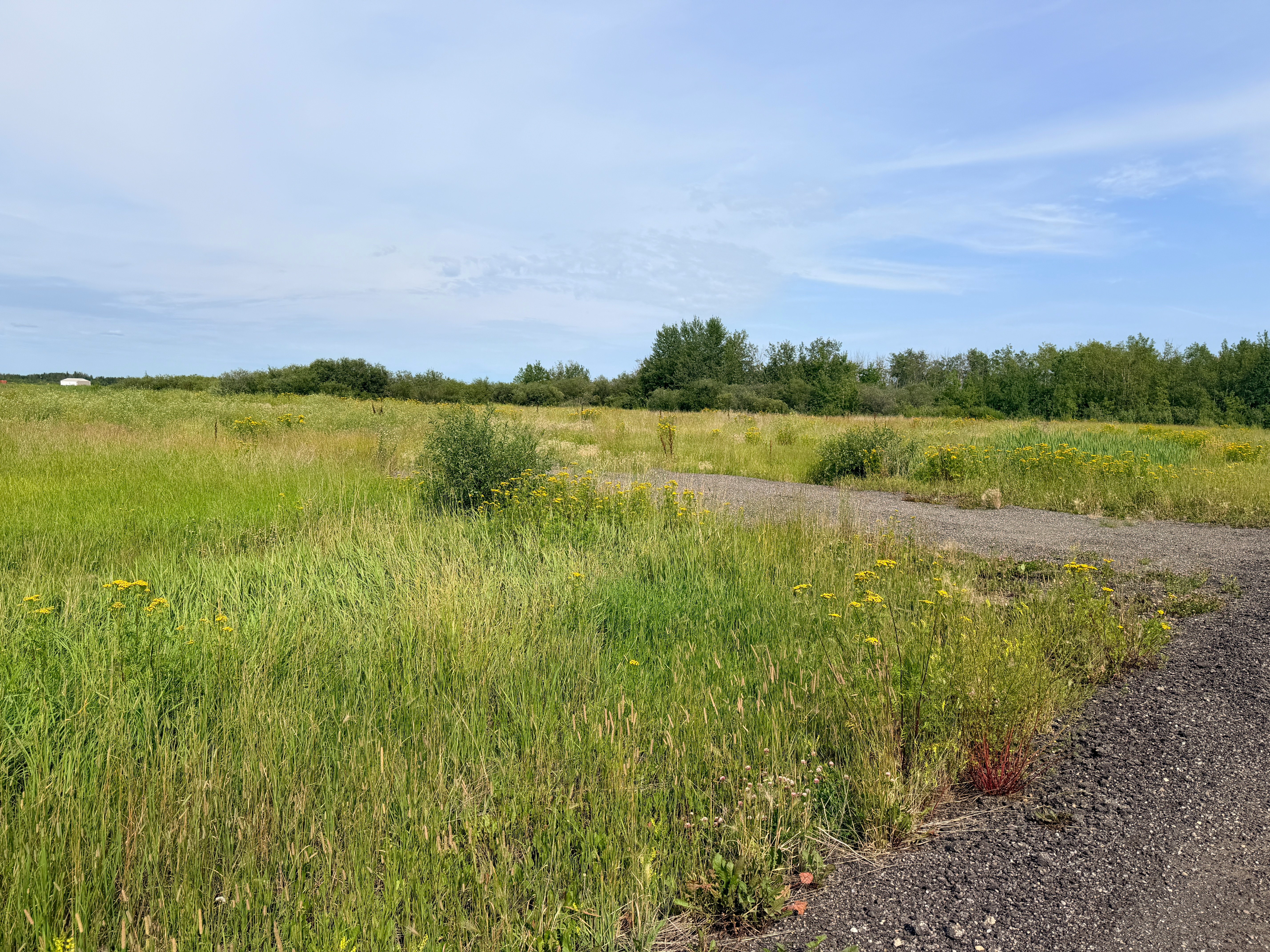  Range Rd 260, Westlock, AB, T7P 2G1