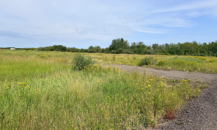 Range Rd 260