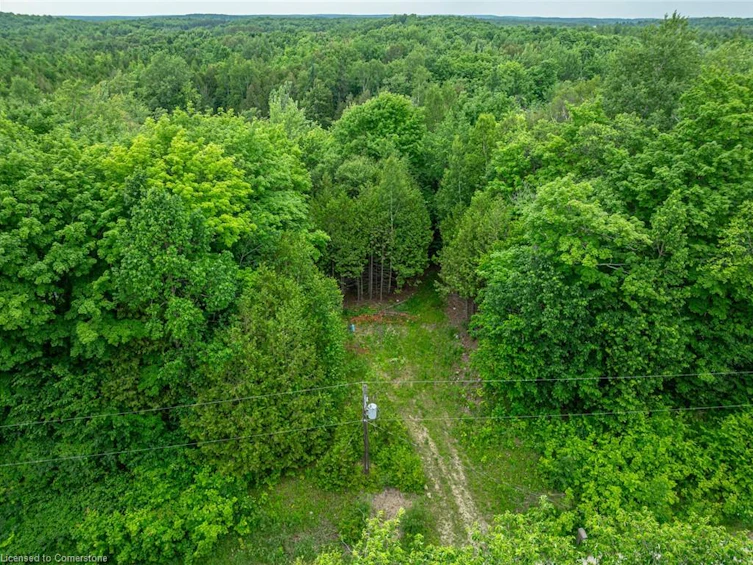 LOT 31 8th Concession B, Grey Highlands, ON, N0C 1M0 - 13