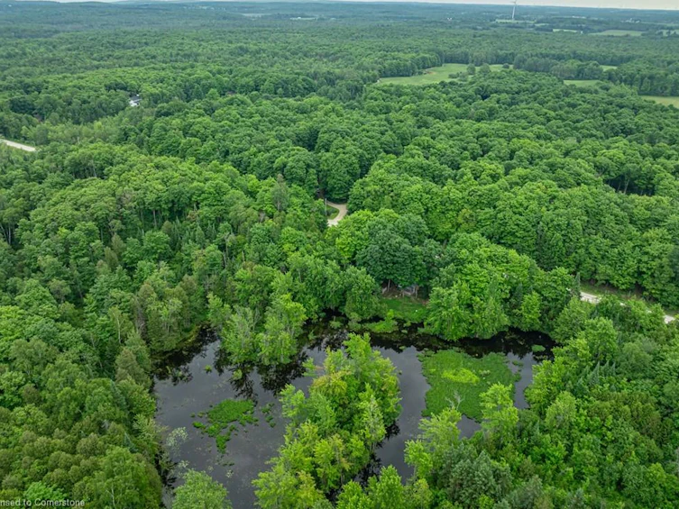 LOT 31 8th Concession B, Grey Highlands, ON, N0C 1M0 - 12