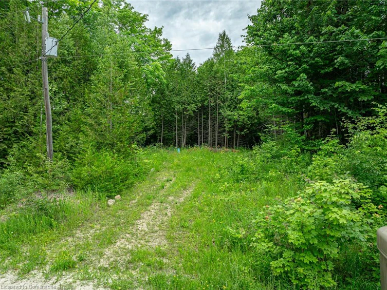 LOT 31 8th Concession B, Grey Highlands, ON, N0C 1M0
