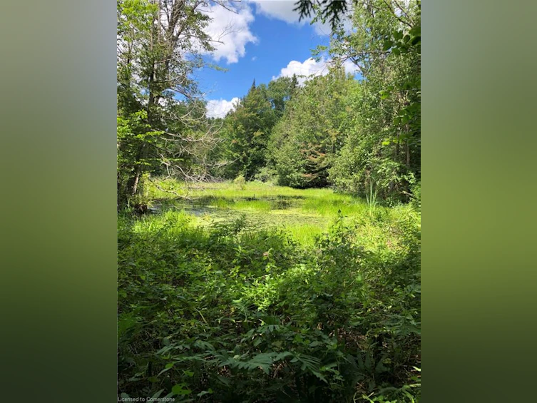 LOT 31 8th Concession B, Grey Highlands, ON, N0C 1M0 - 6