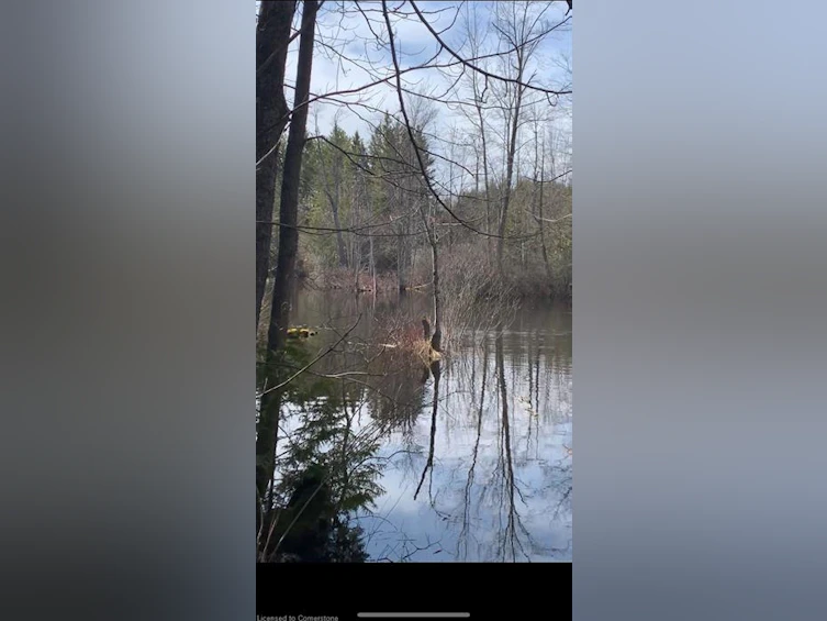 LOT 31 8th Concession B, Grey Highlands, ON, N0C 1M0 - 5