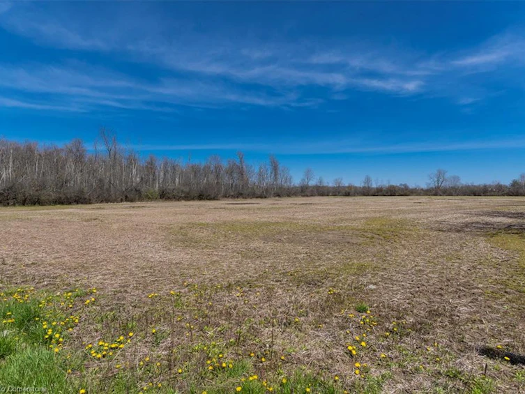 LOT 33 Conc 1, Sherkston Road, Fort Erie, ON, L0S 1N0 - 5