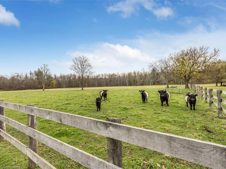 1068 Wyatt Road, Hamilton, ON, L8B 1A3 - 34