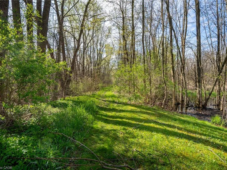 PC LOT 15 4th Concession Rd W, Norfolk County, ON, L8B 0L5 - 4