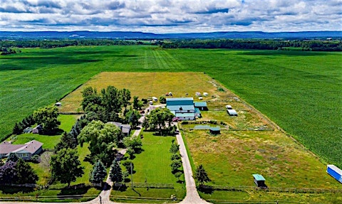 7941 Highway 26, Clearview, ON, L0M 1S0