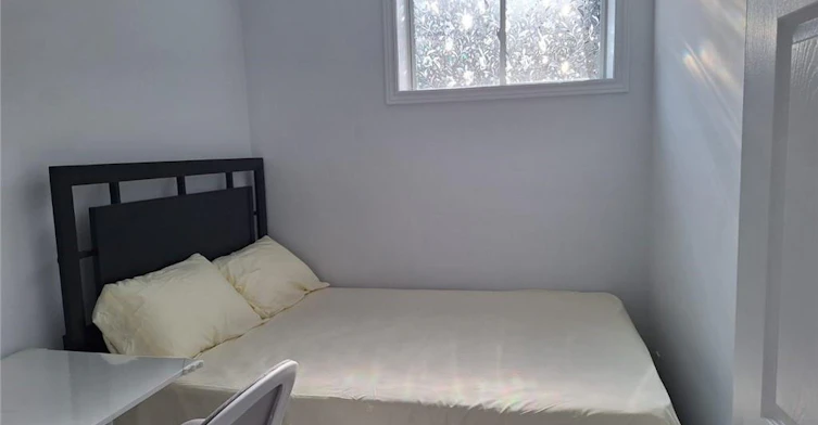 Basement-15 Spring Creek Street, Kitchener, ON, N2A 0G3 - 16