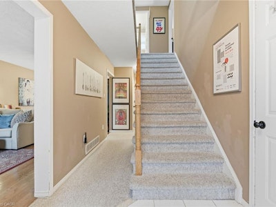 113 Brian Boulevard - 4