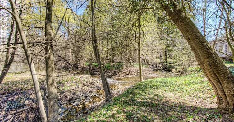 74 Mcdougall Road, Waterloo, ON, N2L 2W5 - 47