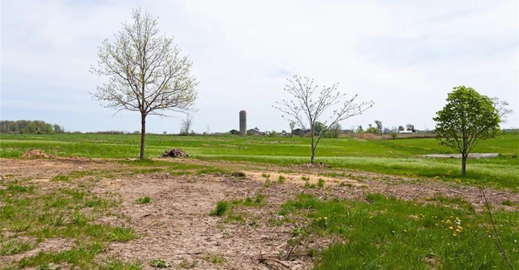 1697 Concession 10, Norfolk County, ON, N0E 1Y0 - 46