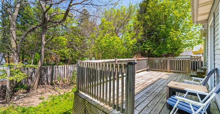 16 Royal Avenue, Hamilton, ON, L8S 2C2 - 40