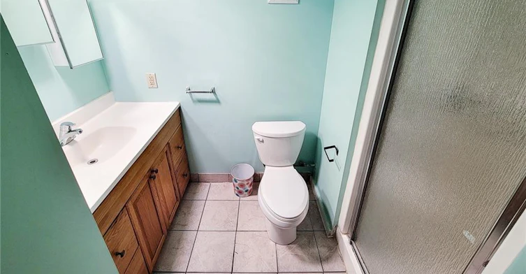 Basement-66 Cline Avenue S, Hamilton, ON, L8S 1W7 - 23