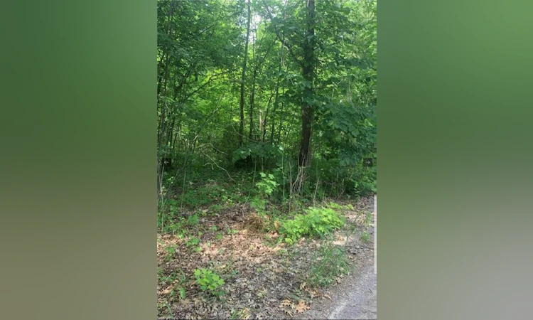 LOT 12 Suter Drive