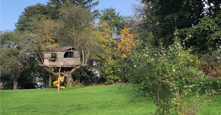 BARN-970 Erbsville Road, Woolwich, ON, N2J 3Z4 - 19