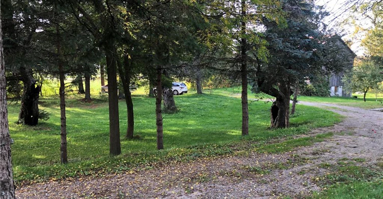 BARN-970 Erbsville Road, Woolwich, ON, N2J 3Z4 - 14