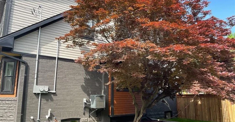 Upper-58 Rosslyn Avenue N, Hamilton, ON, L8L 7P4 - 4