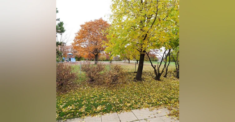 3-425 Kingscourt Drive, Waterloo, ON, N2K 3R4 - 27