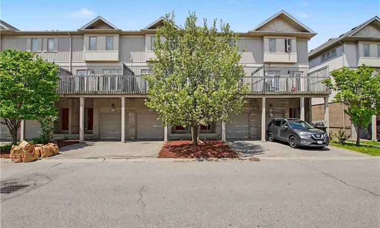 C16-619 Wild Ginger Avenue