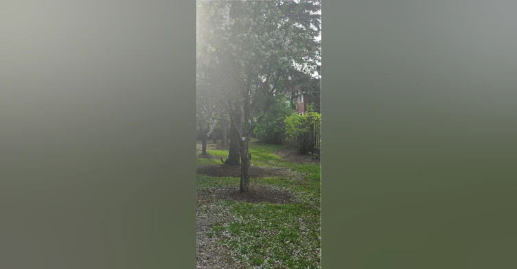 6-3085 Kingsway Drive, Kitchener, ON, N2C 2P1 - 22