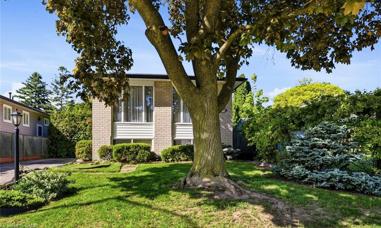450 Brigadoon Drive