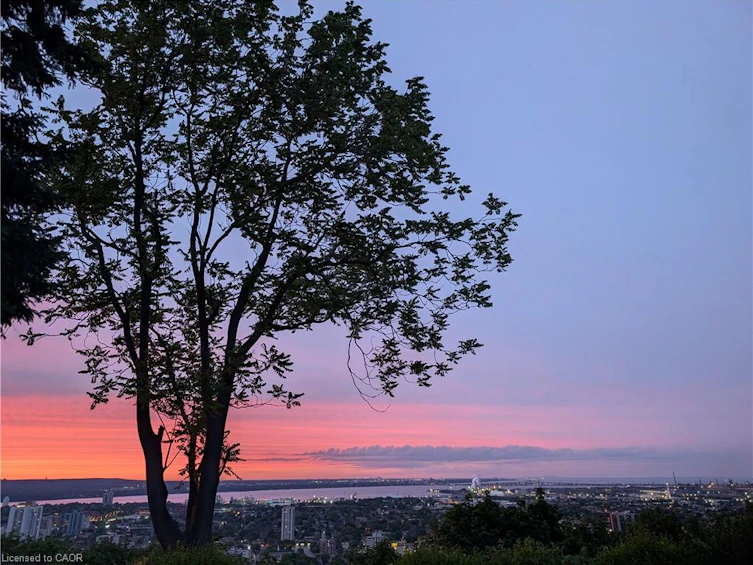 47 Mountain Park Avenue, Hamilton, ON, L9A 1A1 - 49