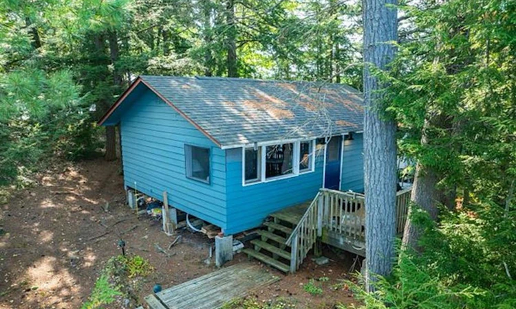 431 Healey Lake