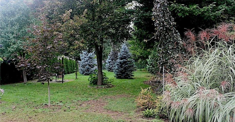 529 Simcoe Street, Niagara-on-the-Lake, ON, L0S 1J0 - 24