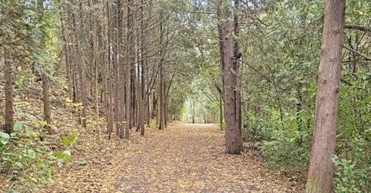 52-50 Blue Springs Drive, Waterloo, ON, N2J 4M4 - 29