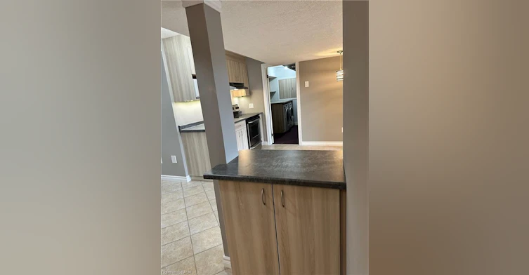 BASEMENT-87 Maitland Street, Kitchener, ON, N2R 1V3 - 10