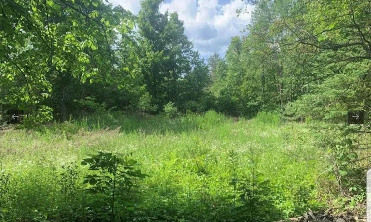 LOT 12 Suter Drive