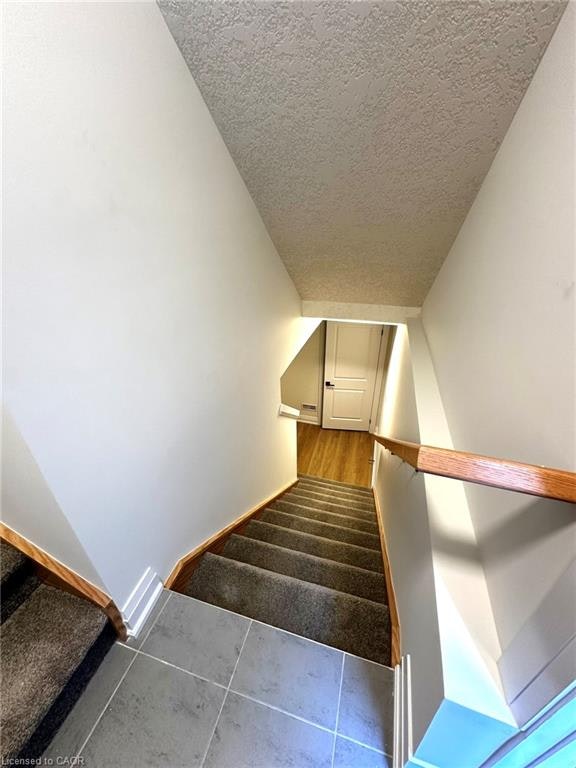 Lower-50 Jacob Detweiller Drive, Kitchener, ON, N2P 0L1 - 9