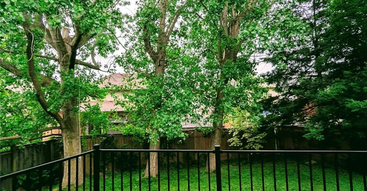 39 Naomi Court, Hamilton, ON, L9G 5E4 - 10