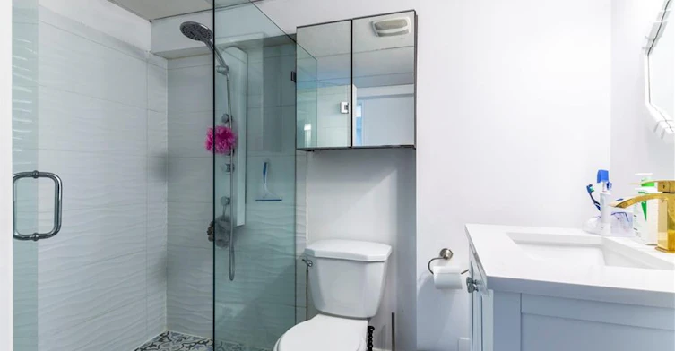 Basement-252 Thorner Drive, Hamilton, ON, L8V 2M7 - 4