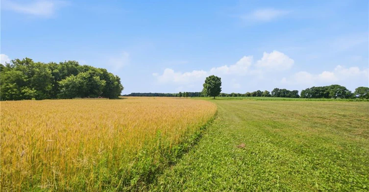392 German School Road, Brant, ON, N3L 3E1 - 43