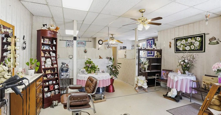 61 Niagara Street, St. Catharines, ON, L2R 4L1 - 9