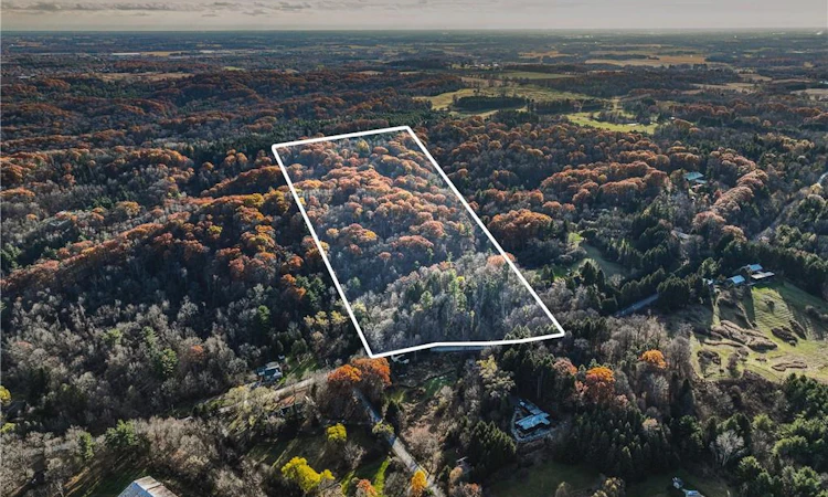1296 Mineral Springs Road
