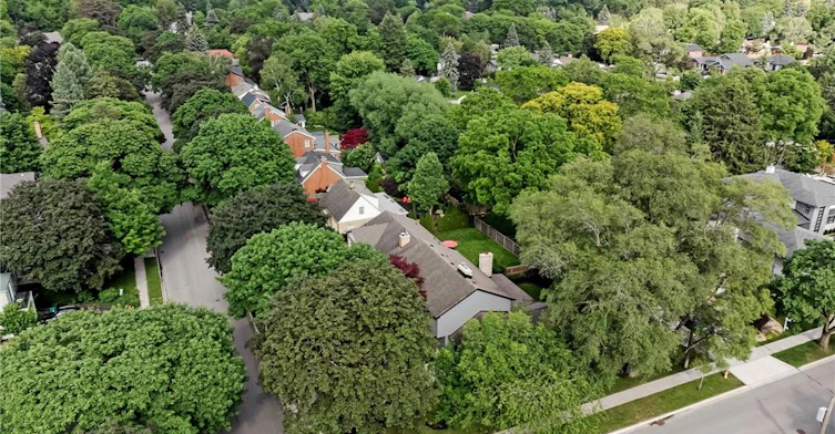203 Forsyth Drive, Waterloo, ON, N2L 1A1 - 47
