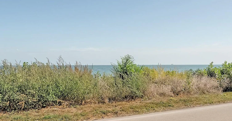 826 Beach Boulevard, Hamilton, ON, L8H 6Z5 - 35