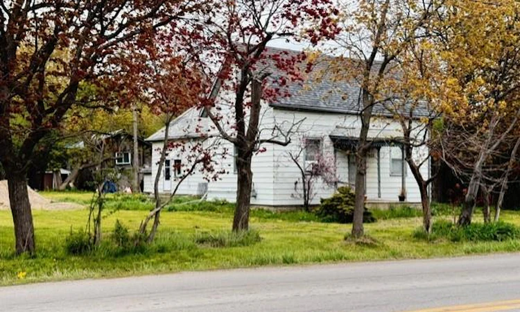 441 Mud Street