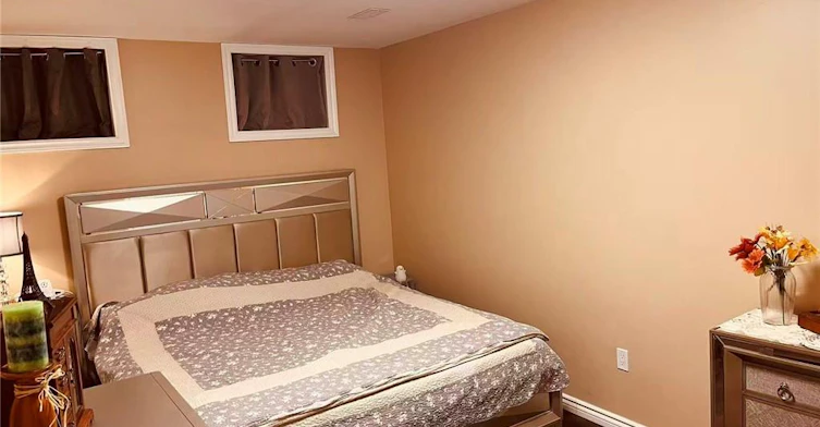basement-88 Lowinger Avenue, Hamilton, ON, L9K 1P9 - 7