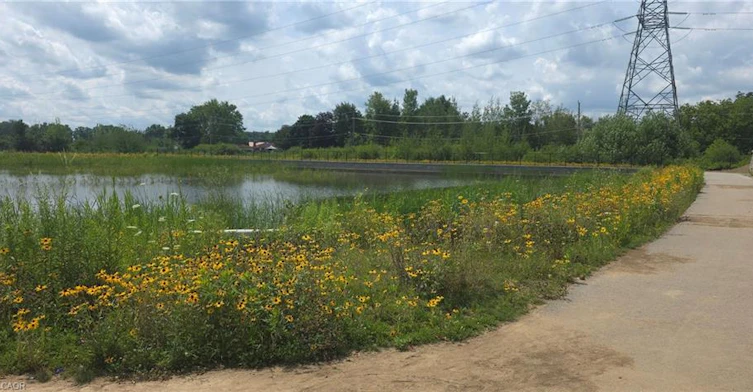 35 Moonstone Common, Cambridge, ON, N1T 0H3 - 23