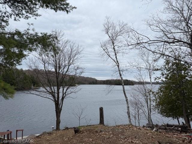 36 St Ola Lake Shore E, Limerick, ON, K0L 1W0