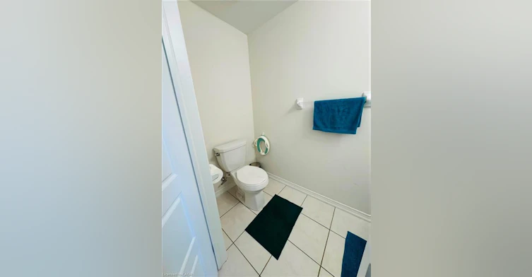 29 Cooke Avenue, Brantford, ON, N3T 0S2 - 5