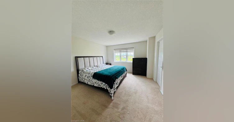 29 Cooke Avenue, Brantford, ON, N3T 0S2 - 20