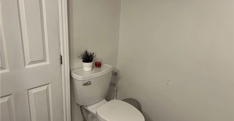 LOWER-4 Sunning Hill Avenue, Hamilton, ON, L8T 4Z1 - 11