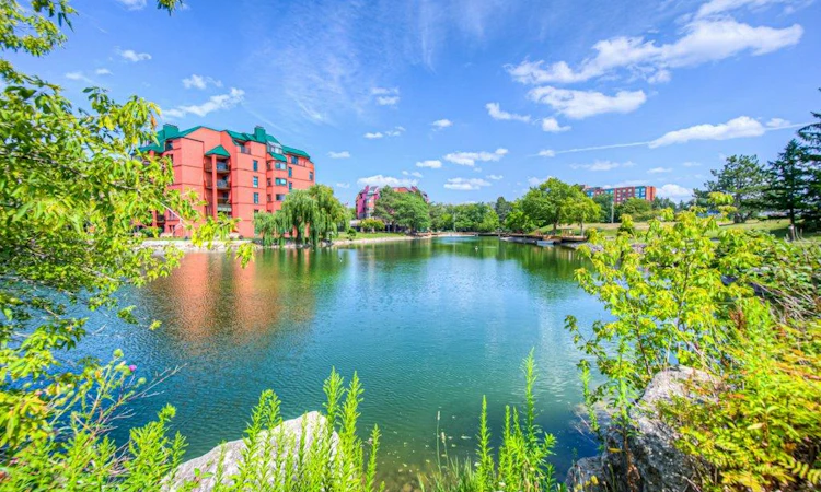 32-52 Blue Springs Drive