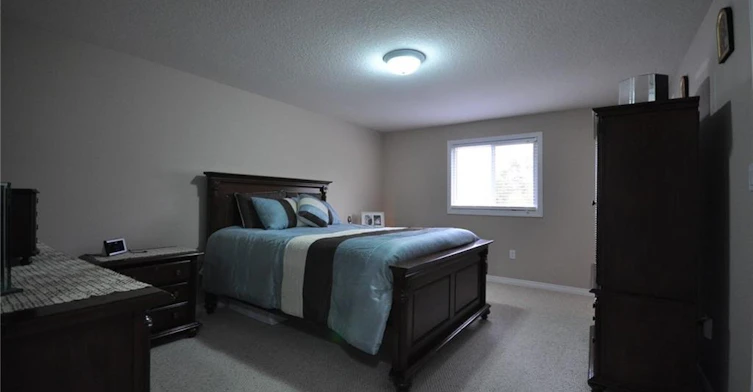 294 Briarmeadow Drive, Kitchener, ON, N2A 4L1 - 11